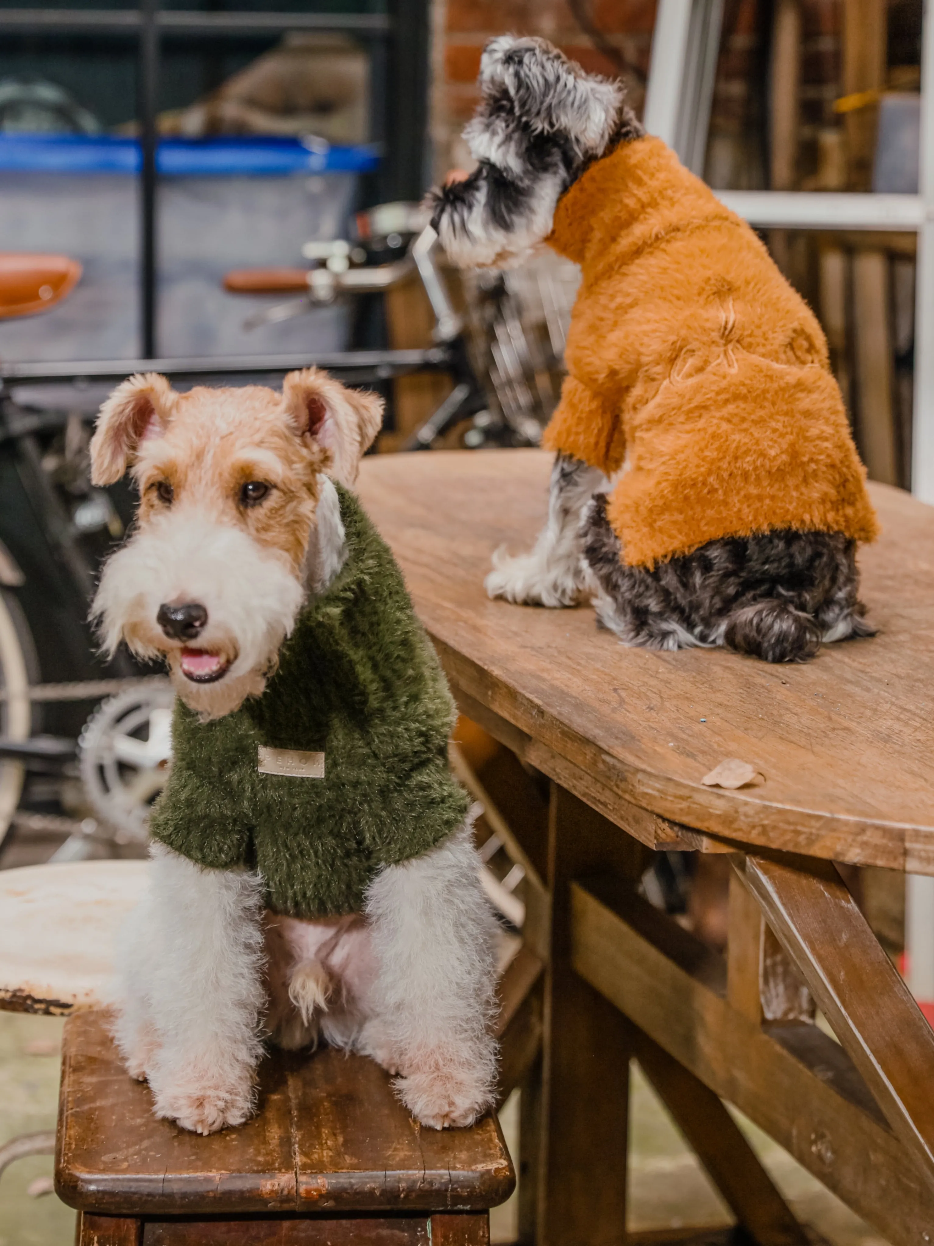 Eskimo Fuzzy Sweater - Orange