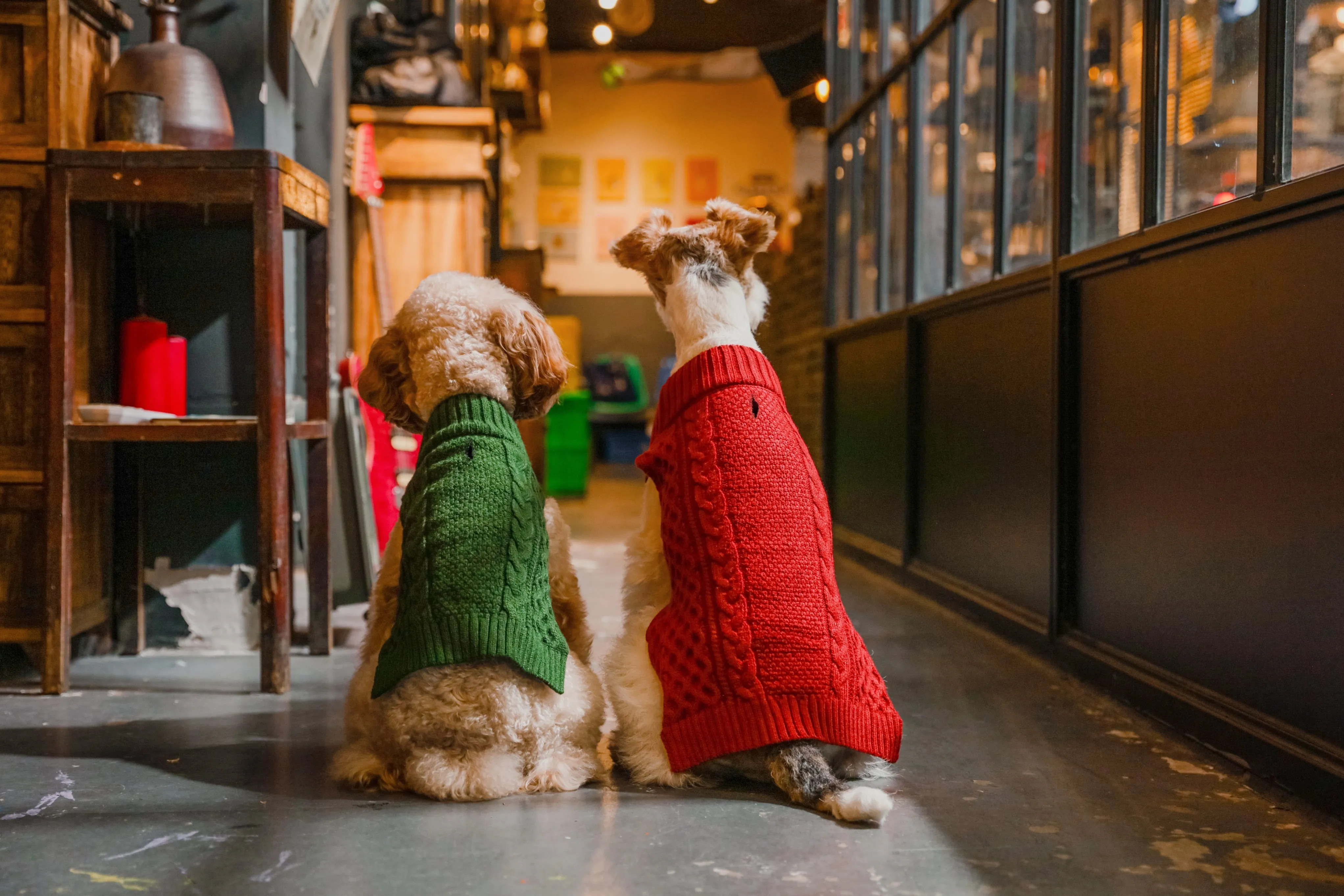 Pet Sweater Vest - Green